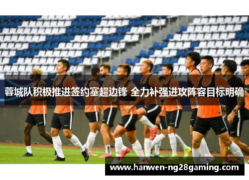 蓉城队积极推进签约塞超边锋 全力补强进攻阵容目标明确 蓉城队积极推进签约塞超边锋 全力补强进攻阵容目标明确