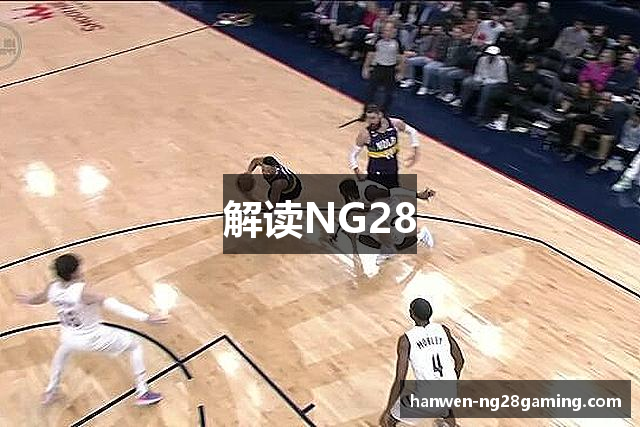 解读NG28